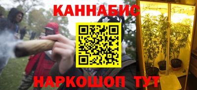 индика Нарткала