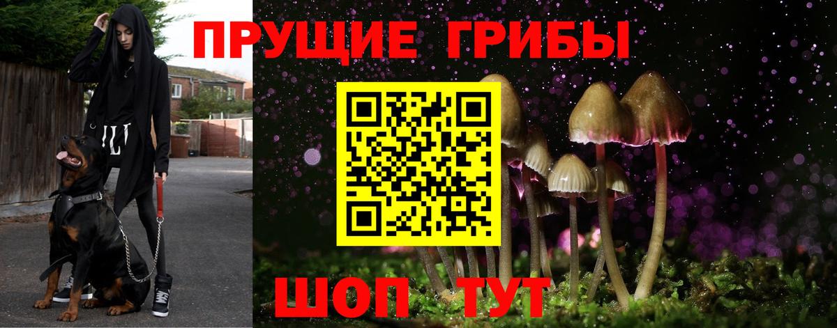 Приморско-Ахтарск  купить   Псилоцибиновые грибы Psilocybe  Вход с VPN  Псилоцибиновые грибы мицелий 